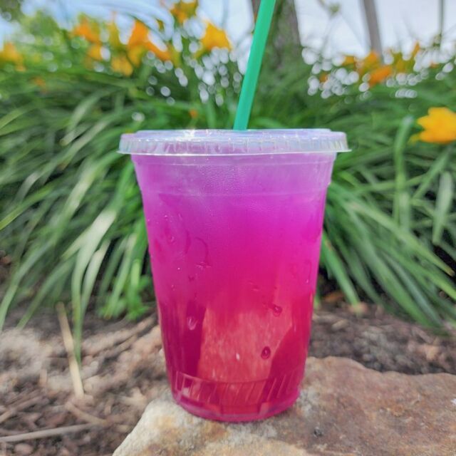 Burien and Capitol Hill are both featuring Lavender Pride Lemonade! (Lavender Lemonade with Butterfly Pea Flower. )

$3 from the sale of each drink will be donated to the Lambert House. They are an inspiring organization that supports lesbian, gay, bisexual, transgender, and questioning (LGBTQ) youth ages 10-22. 

It’s as delicious as it is pretty!